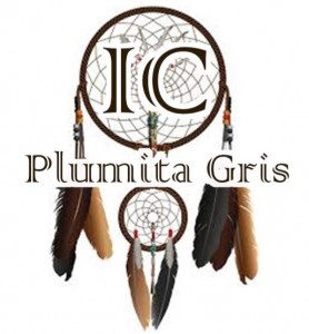 Ideas Creativas Plumita Gris